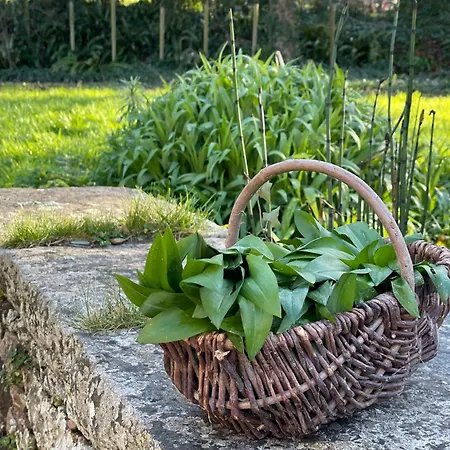 Ferienhaus Le Pressoir, De Charme & Jardin Fabuleux A 800m De La - By Maison Melchior Flamanville