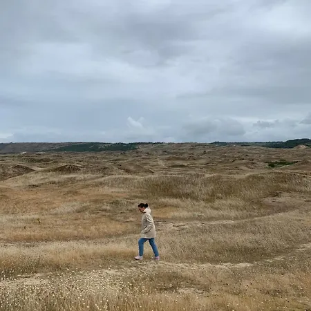 Ferienhaus Le Pressoir, De Charme & Jardin Fabuleux A 800m De La - By Maison Melchior