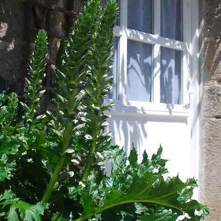 Ferienhaus Le Pressoir, De Charme & Jardin Fabuleux A 800m De La - By Maison Melchior *