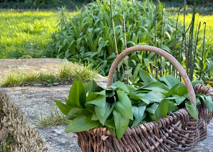 Tatil Evi Le Pressoir, De Charme & Jardin Fabuleux A 800m De La - By Maison Melchior Flamanville