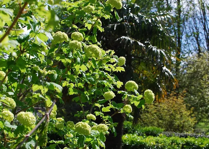 Tatil Evi Le Pressoir, De Charme & Jardin Fabuleux A 800m De La - By Maison Melchior