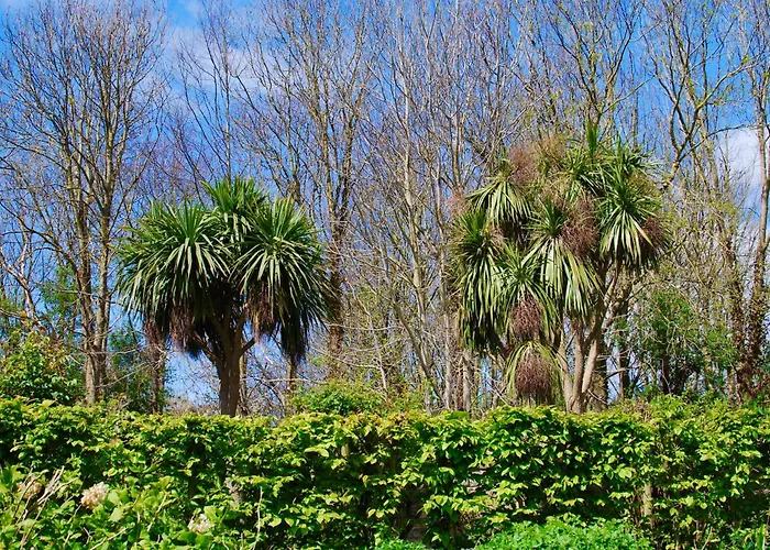 Tatil Evi Le Pressoir, De Charme & Jardin Fabuleux A 800m De La - By Maison Melchior *