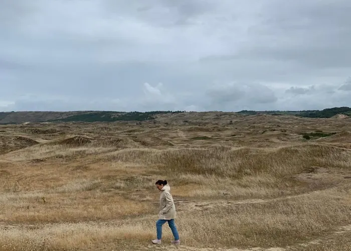 Tatil Evi Le Pressoir, De Charme & Jardin Fabuleux A 800m De La - By Maison Melchior