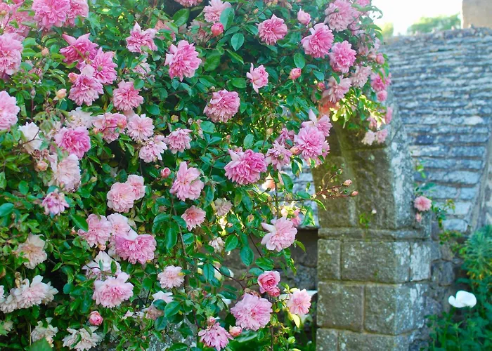 Le Pressoir, De Charme & Jardin Fabuleux A 800m De La - By Maison Melchior *