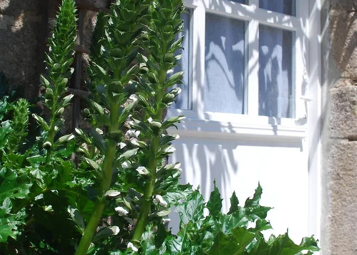 Tatil Evi Le Pressoir, De Charme & Jardin Fabuleux A 800m De La - By Maison Melchior *